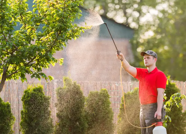 Professional lawn fertilization in Erie, PA