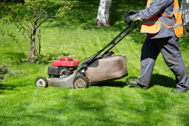 Affordable lawn mowing in Erie, PA