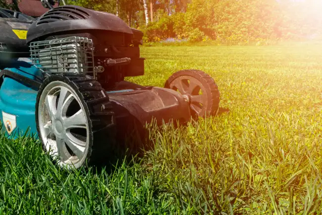 Reliable lawn mowing in Erie, PA