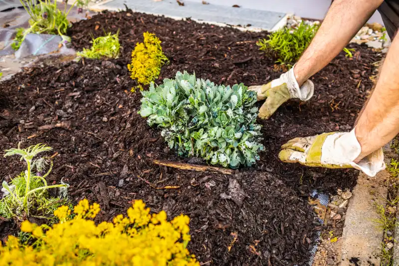 Reliable mulching in Erie, PA