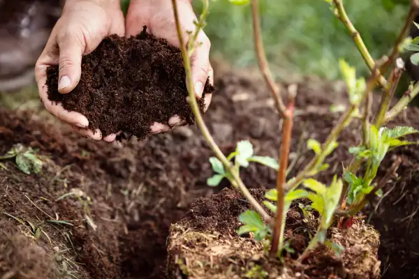 Professional mulching in Erie, PA