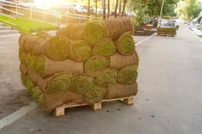 Professional sod installation in Erie, PA