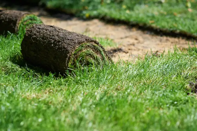 Affordable sod installation in Erie, PA