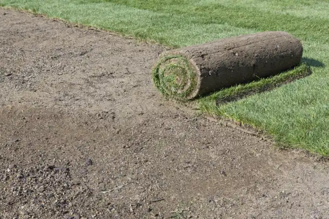 Reliable sod installation in Erie, PA