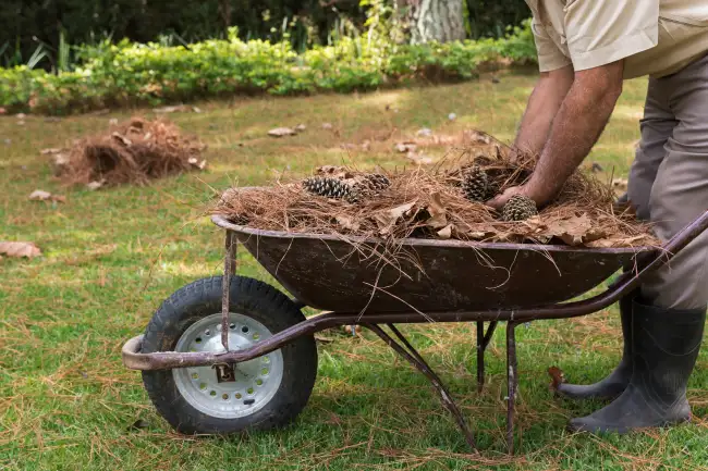 Professional yard cleanup in Erie, PA