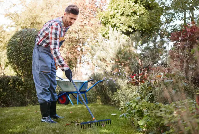 Affordable yard cleanup in Erie, PA